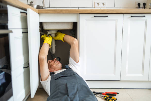 Best Commercial Plumbing Services  in Holly Hills, CO