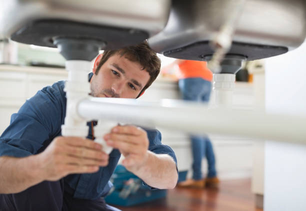 Best Local Plumber Services  in Holly Hills, CO