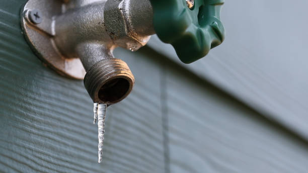 Best Water Leak Repair  in Holly Hills, CO